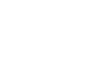 Professional Shopify Development Services