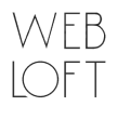 Professional Shopify Development Services
