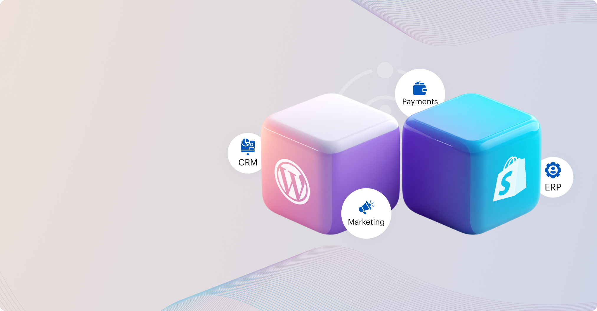 Ecommerce vs Shopify: Which Platform Best Supports Custom Integrations?